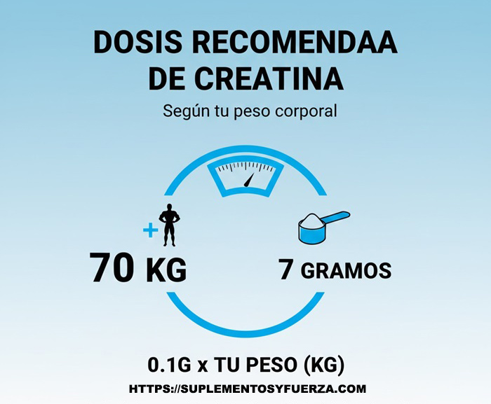 Guía visual sobre cómo tomar creatina según el peso corporal.