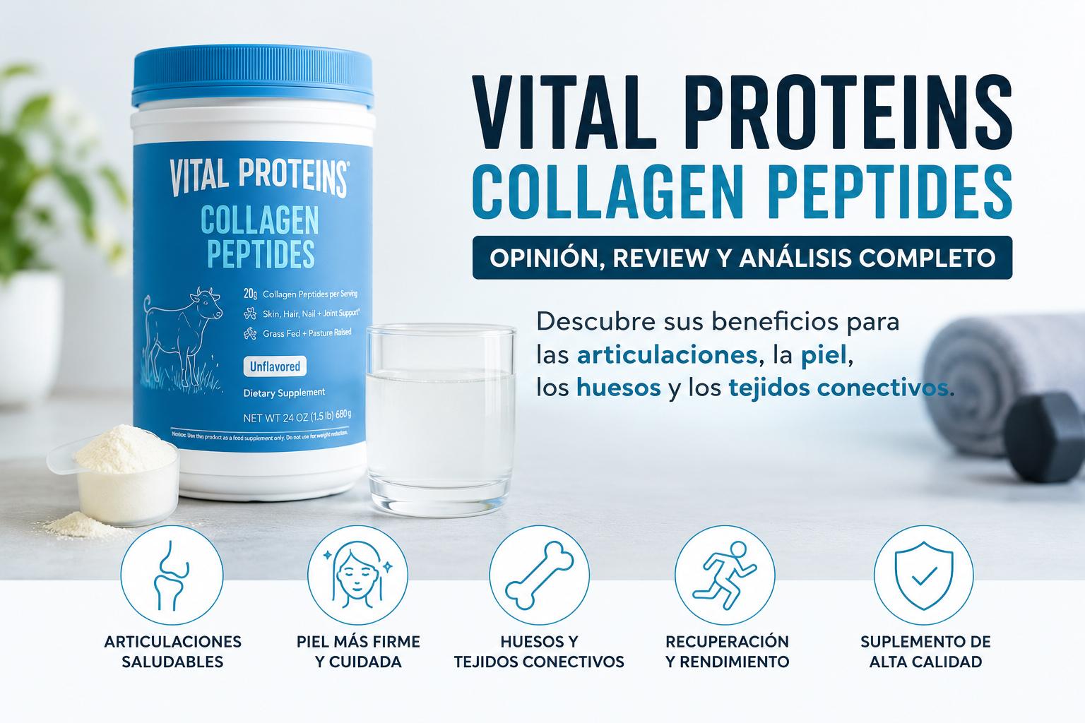 Análisis completo de Vital Proteins