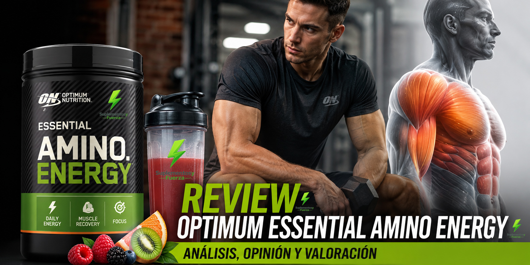 Optimum Nutrition Essential Amino Energy